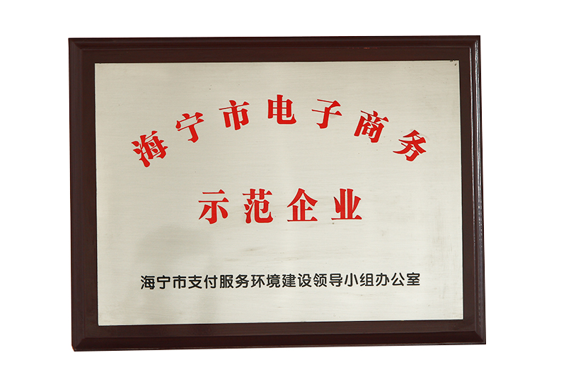 海寧市電子商（shāng）務示範企（qǐ）業